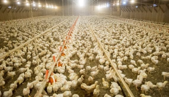 Thumbnail for FSSAI proposes mandatory standard drink labeling, updated norms for alcoholic beverages 