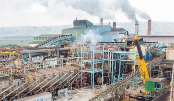 Thumbnail for CarobWay partners with GRA Nutra to launch Carob-Based prebiotic fiber in the U.S. 