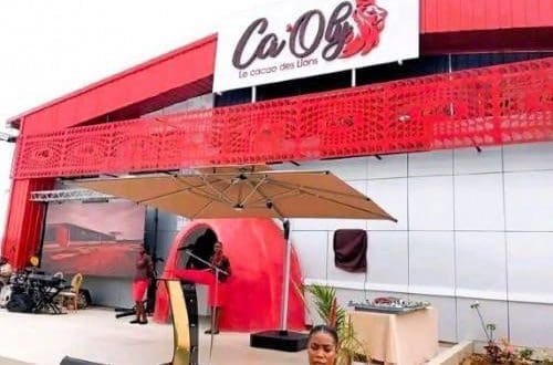 Thumbnail for Africa Processing boosts grinding capacity with new factory in Cameroon 