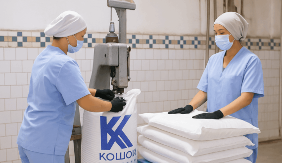 Thumbnail for WACOT Nigeria pays sustainability bonuses to 2,062 Osun cocoa farmers