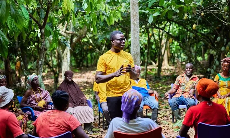 Thumbnail for ofi surpasses cocoa sustainability milestones, strengthens farmer resilience and long-term supply security 