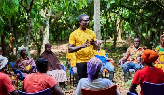 Thumbnail for Namibia’s Maranatha Poultry plans US$13.7M expansion to double output