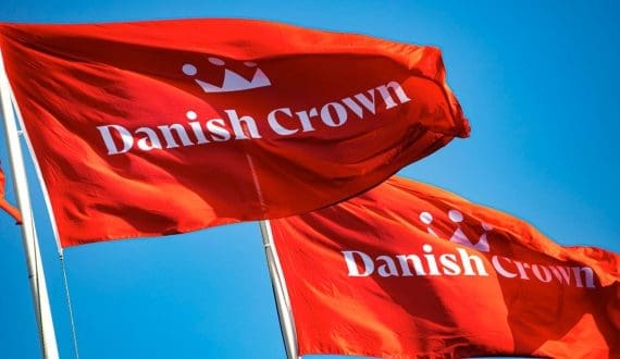 Thumbnail for Ethiopia launches SCAE to boost specialty coffee exports  