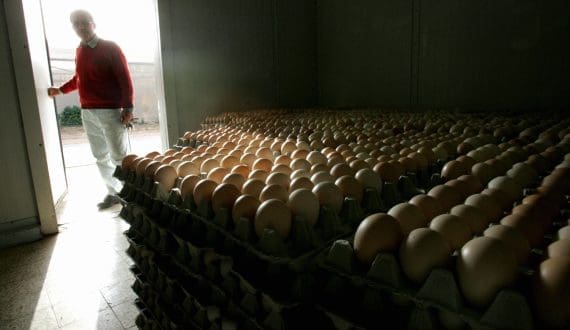 Thumbnail for SuperMeat secures US$3.5M to launch cultivated chicken in Europe