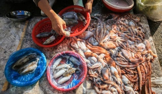 Thumbnail for Norway seafood exports drop again, hit by stronger krone and lower volumes