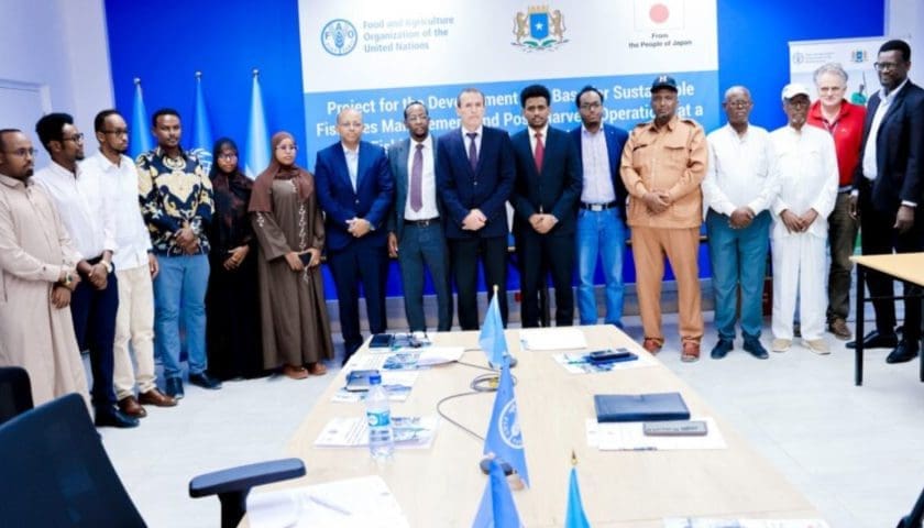 Thumbnail for Somalia launches new project to modernize fisheries, combat illegal fishing