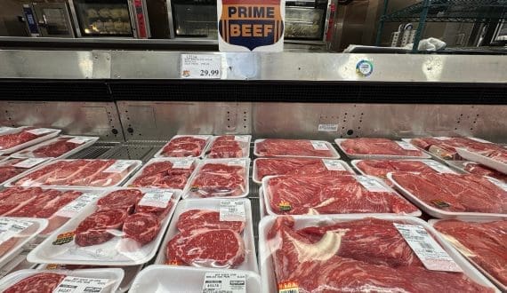 Thumbnail for Morocco to halt frozen sardine exports from February 1 amid supply strain