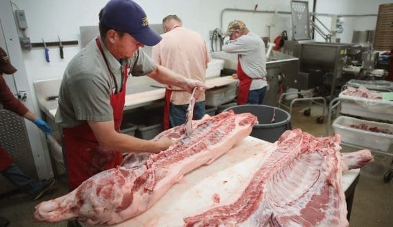 Thumbnail for Jalisco accounts for nearly a quarter of Mexico’s pork output