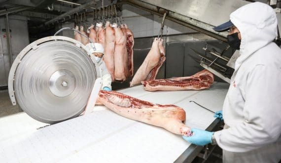 Thumbnail for US pork exports to Australia, New Zealand rise – USMEF