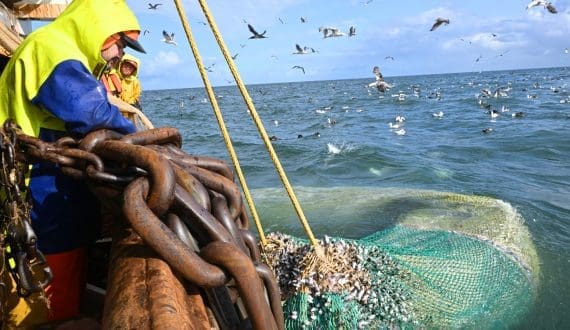 Thumbnail for French retailer Monoprix returns to Mauritius through new partnership with Groupe Aldis