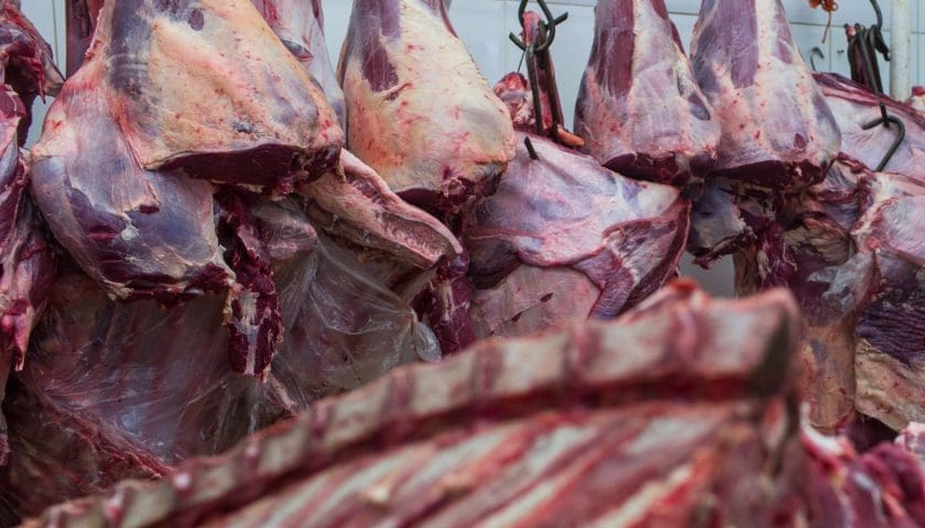 Thumbnail for USDA adjusts 2025 meat, poultry production estimates amid record-high beef prices