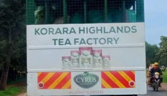 Thumbnail for Kenyan court clears KCB to auction Korara Highlands Tea Factory assets over debt