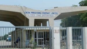Ghana’s Cocoa Processing Company reports 38% revenue decline, deeper losses in 2025 