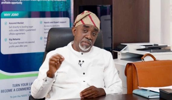 Thumbnail for Nigeria Sugar Institute serves entire industry, not select operators – NSDC clarifies 