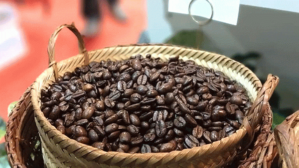 Thumbnail for Laos launches Asia’s first hydrogen-powered coffee roasting plant to boost exports, sustainable production 