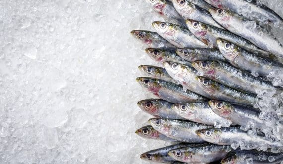 Thumbnail for Schweppes unveils rebrand, revives iconic Skittle bottle and launches new premium flavours 