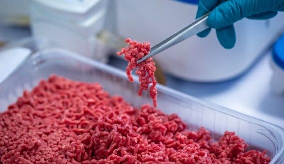 Thumbnail for Mosa Meat raises US$17.7M amid challenges for cultivated meat industry