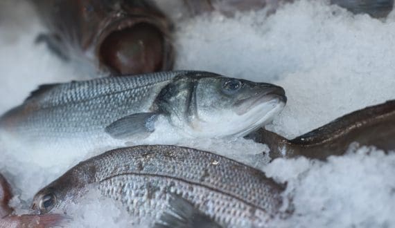 Thumbnail for Cameroon allocates US$22.4M to Integrated Agro-Pastoral and Fisheries Import-Substitution Plan (PIISAH)