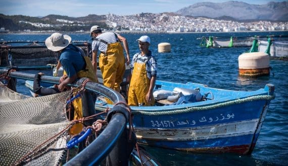 Thumbnail for Japan provides additional US$3.3M for fishing port development in Safi, Morocco