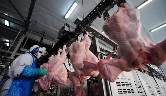 Thumbnail for Tyson Foods acquires former Cargill turkey plant in Springdale, Arkansas