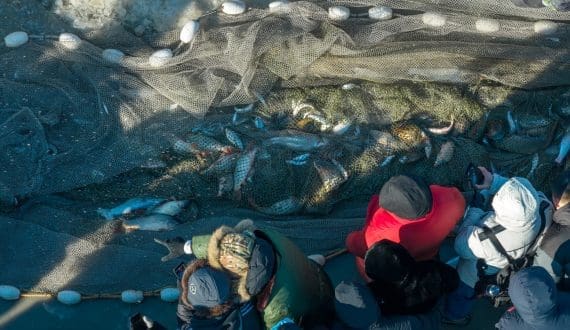 Thumbnail for Peru forecasts 1.3% fisheries GDP growth in 2025 on higher catches and exports