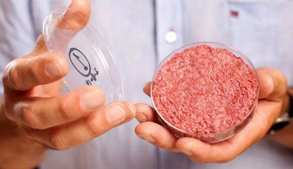 Thumbnail for TissenBioFarm produces cultivated meat matching real meat cell density