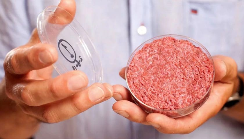 Thumbnail for TissenBioFarm produces cultivated meat matching real meat cell density