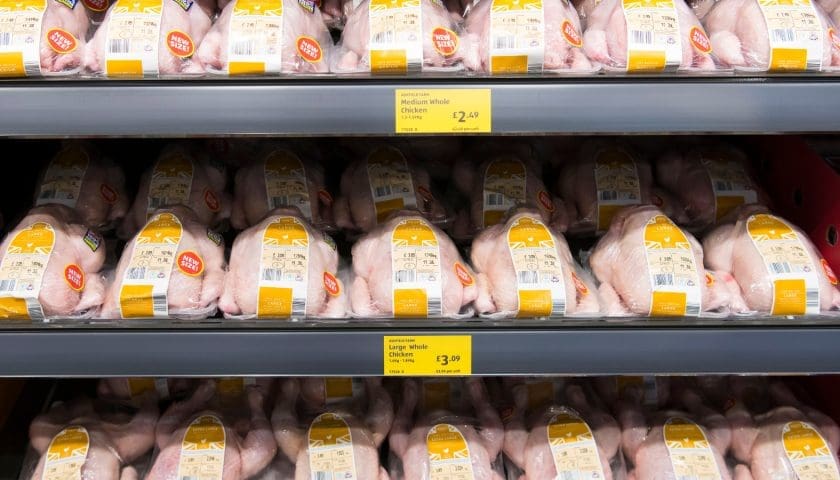 Thumbnail for FDA funds US$1M study on drug-resistant bacteria in retail poultry