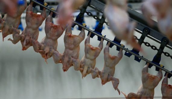 Thumbnail for Astral Foods appoints Interim CFO