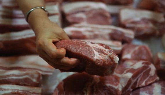 Thumbnail for Namibian hake fishery earns second MSC certification