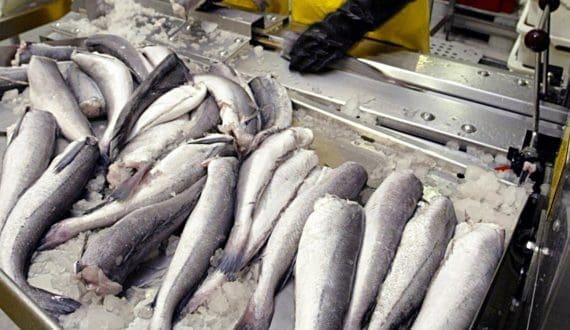 Thumbnail for South African meat exporters push for faster regional trade agreements under government Plan A