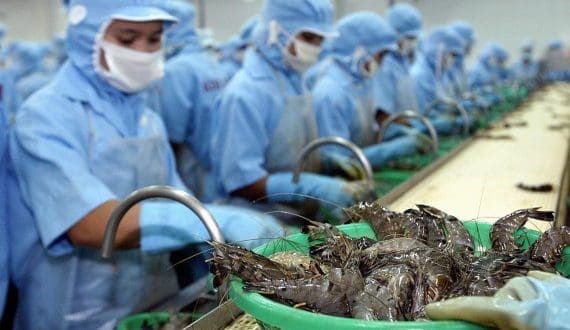 Thumbnail for UK government to phase out cage systems for egg-laying hens