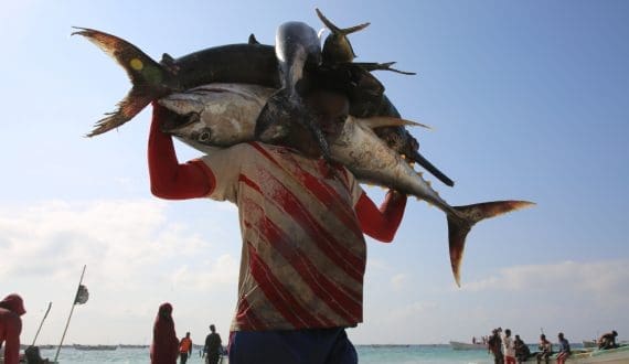 Thumbnail for EU set to provisionally apply Mercosur trade deal from March despite court referral