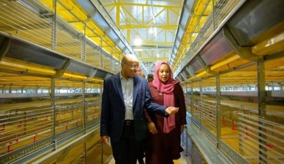 Thumbnail for Morocco moves to expand animal products trade with Poland