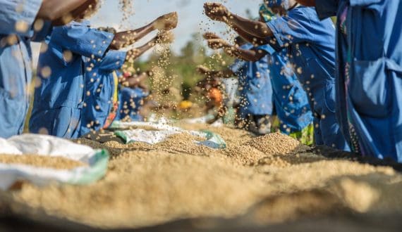 Thumbnail for UNIDO, Generali partner under ACT programme to boost climate-resilient coffee production in Africa 