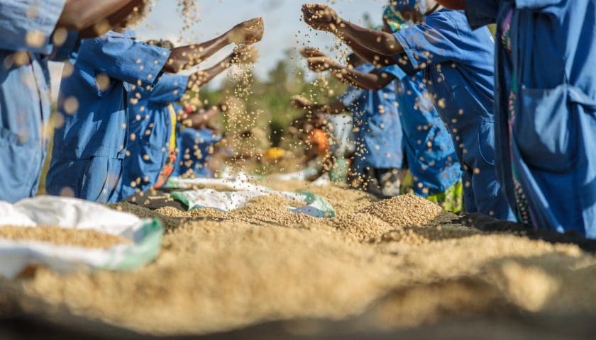 Thumbnail for UNIDO, Generali partner under ACT programme to boost climate-resilient coffee production in Africa 