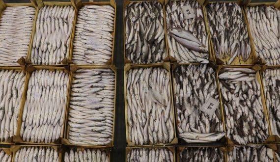 Thumbnail for South Korea targets 4M tonnes of seafood production by 2030