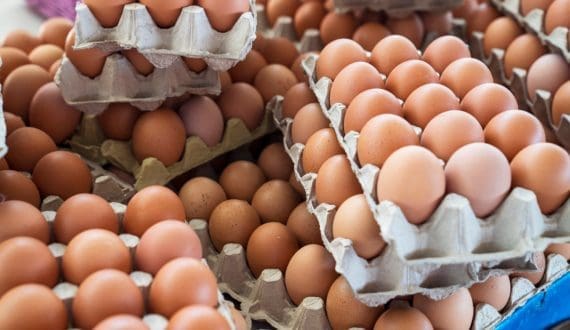 Thumbnail for Dawn Meats confirms 2026 Management Development Programme cohort