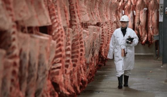 Thumbnail for Australian red meat sector expands engagement with Middle East markets