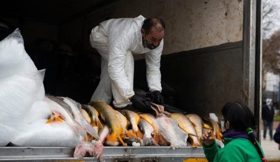 Thumbnail for Argentina’s fish exports hit second-highest level in 2025 – CAPeCA