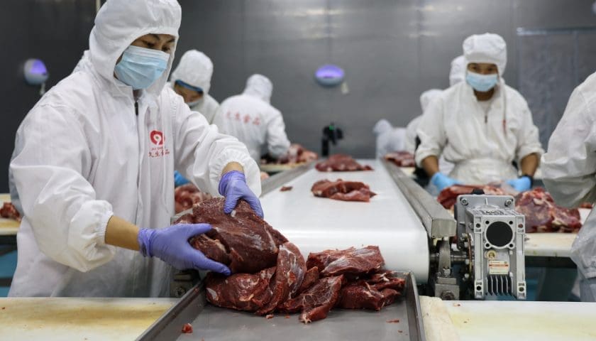 Thumbnail for U.S. beef exports to China blocked as other markets show growth