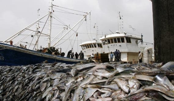 Thumbnail for Liberia plans national fisheries investment conference to attract private capital