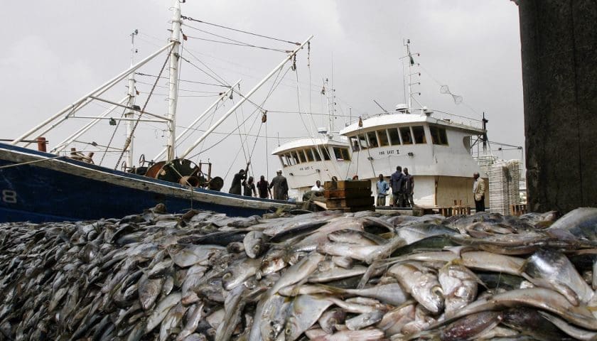Thumbnail for Liberia plans national fisheries investment conference to attract private capital