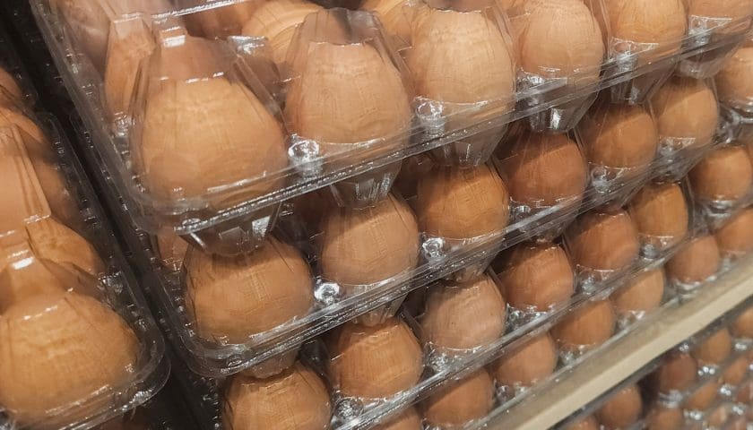 Thumbnail for France hits record egg consumption in 2025