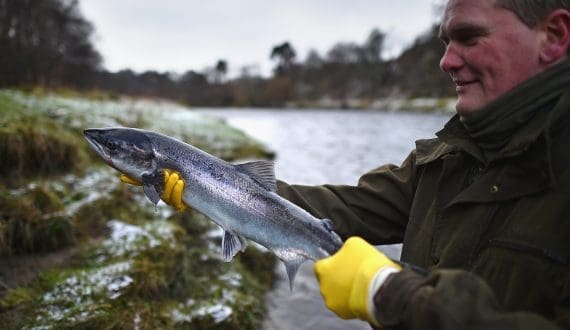 Thumbnail for India implements stricter marine fisheries rules