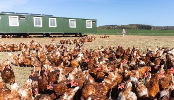 Thumbnail for Kraft Heinz appoints former Kellanova executive Nico Amaya to head North America operations