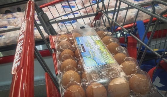 Thumbnail for US egg output rises 2% in January – USDA