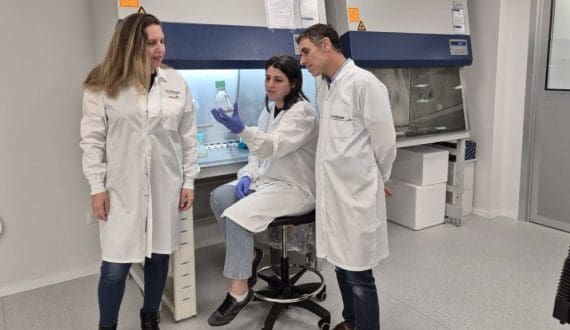 Thumbnail for Brazil suspends cocoa imports from Ivory Coast over phytosanitary risks 