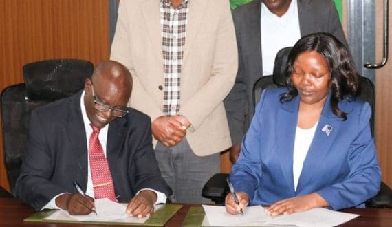 Thumbnail for Brazil launches platform to certify coffee as deforestation-free 