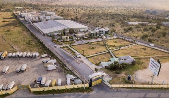 Thumbnail for Tilray Brands acquires BrewDog for US$44.1M 